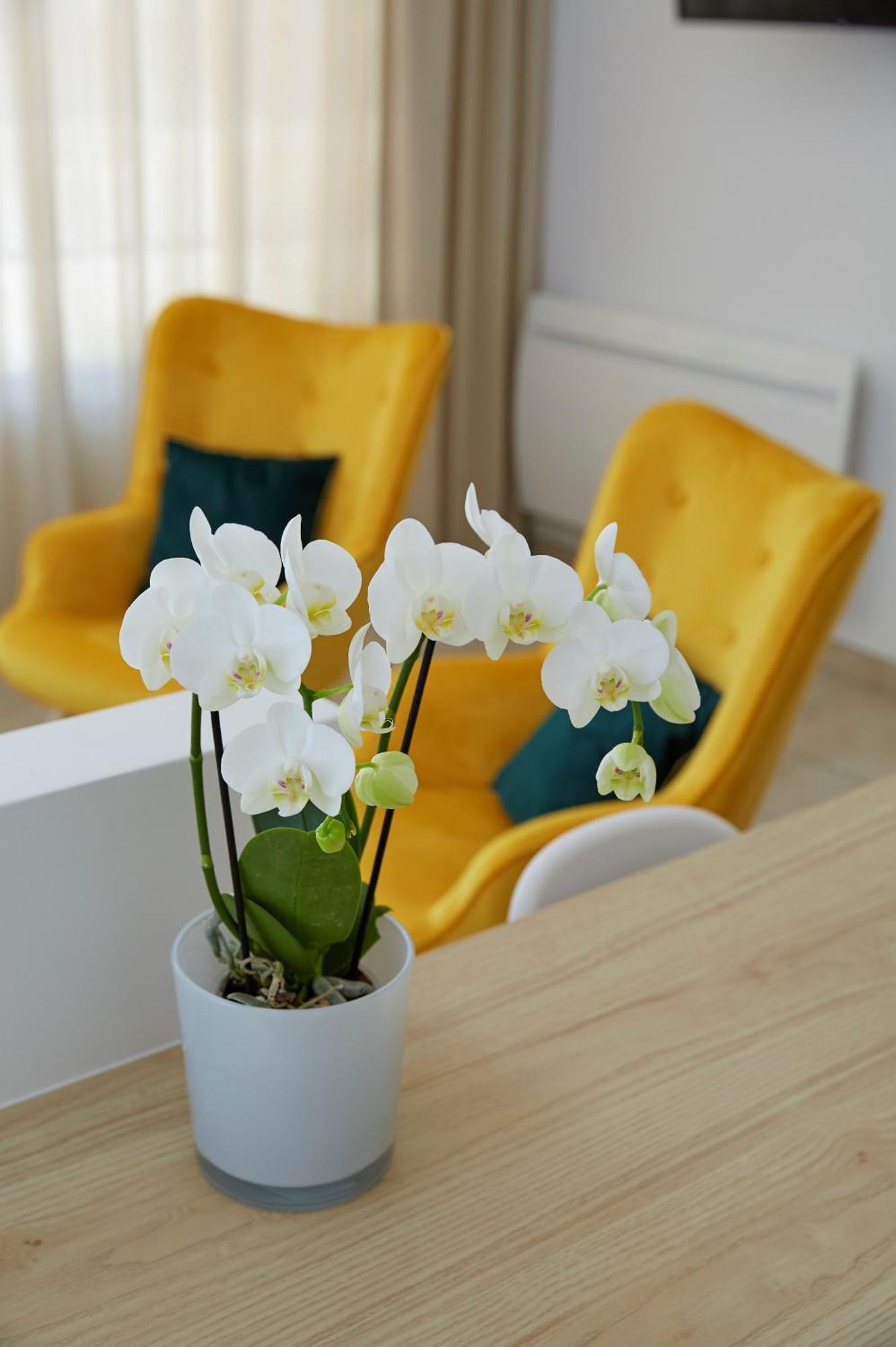 La Bertonnerie En Champagne Bed & Breakfast Prunay ภายนอก รูปภาพ