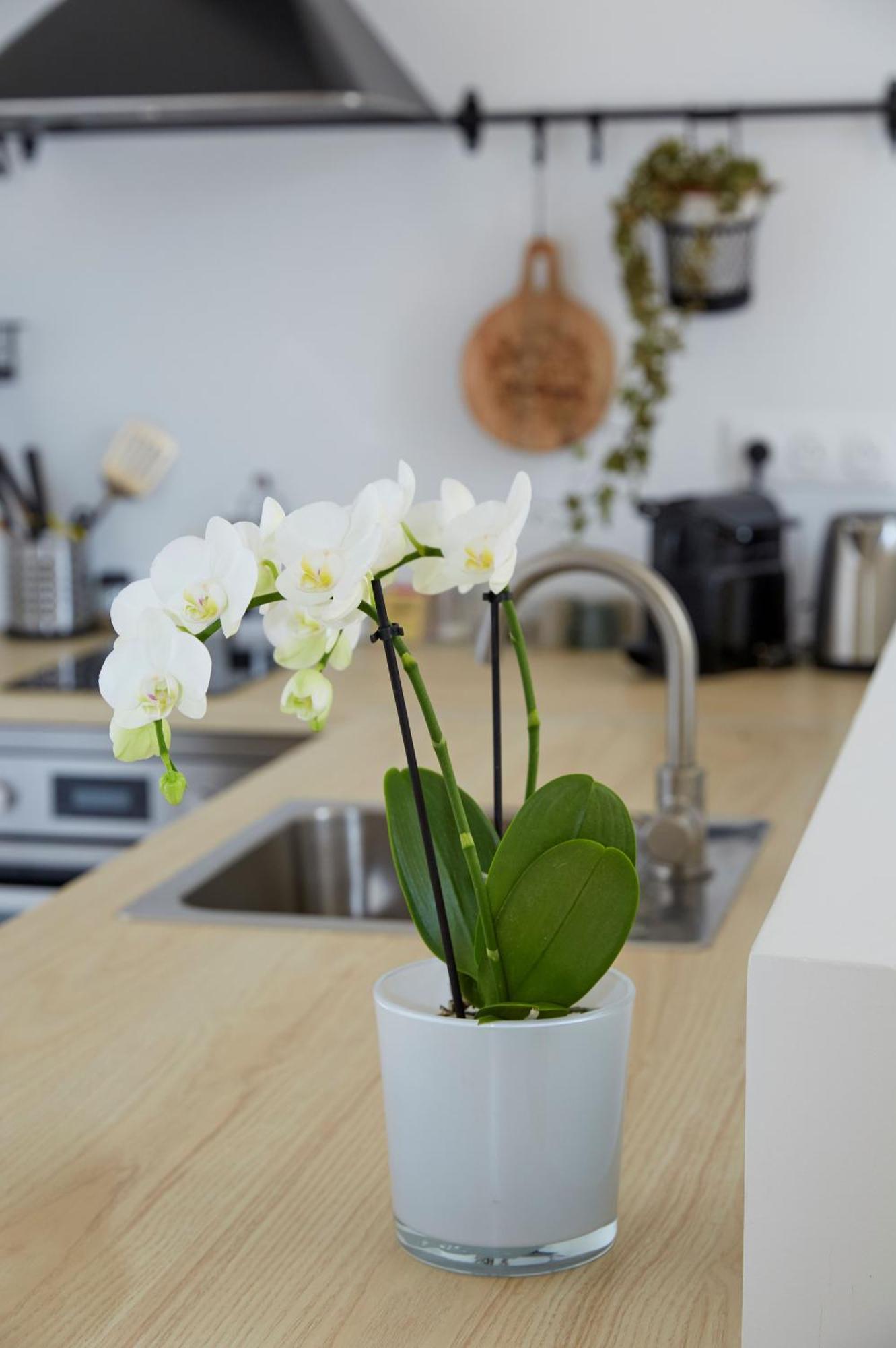 La Bertonnerie En Champagne Bed & Breakfast Prunay ภายนอก รูปภาพ
